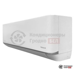 Roland RDI-WZ09HSS/N1