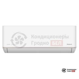 Roland RDI-WZ09HSS/N2