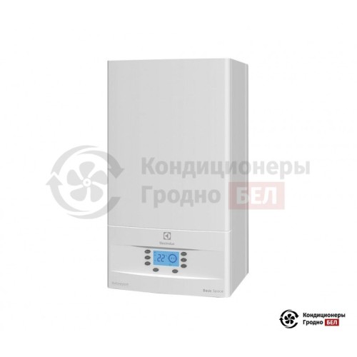  Настенный газовый котел Electrolux GB 24 Basic Space S Fi в Гродно